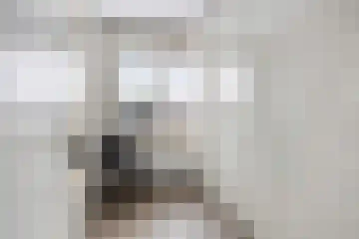 Sluis 15 Borne thumbnail 27