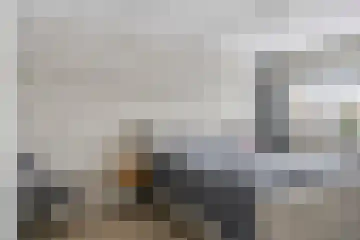 Sluis 15 Borne thumbnail 29