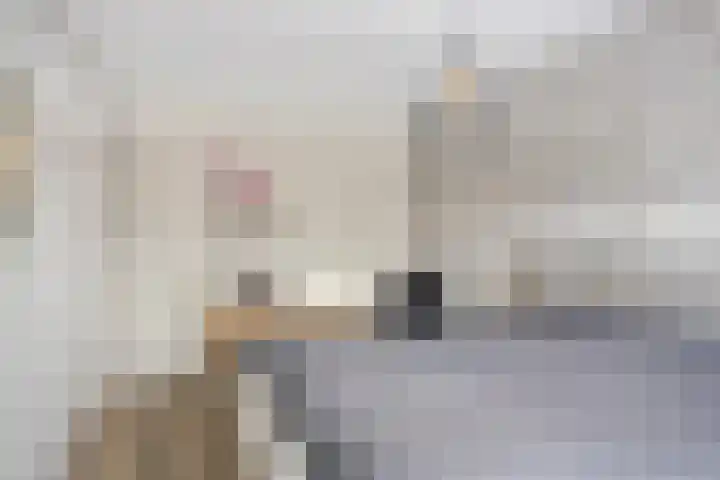 Sluis 15 Borne thumbnail 31
