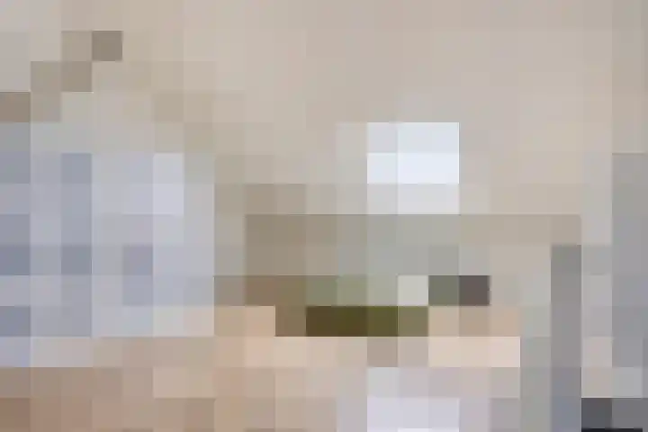 Sluis 15 Borne thumbnail 38