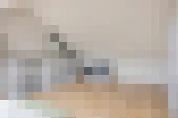 Sluis 15 Borne thumbnail 40