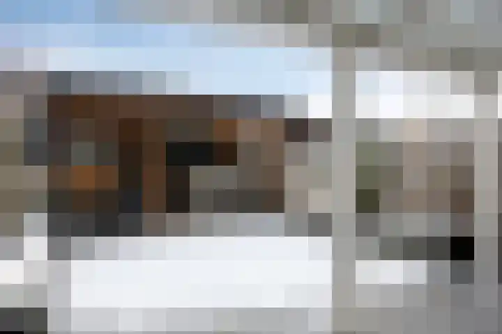 Sluis 15 Borne thumbnail 6