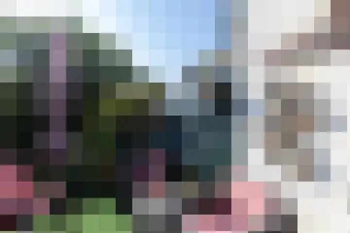 Sluis 55 Groot-Ammers thumbnail 11