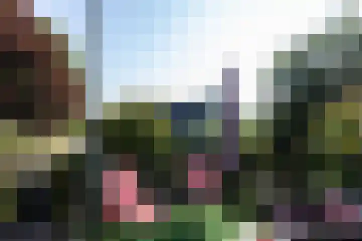 Sluis 55 Groot-Ammers thumbnail 12