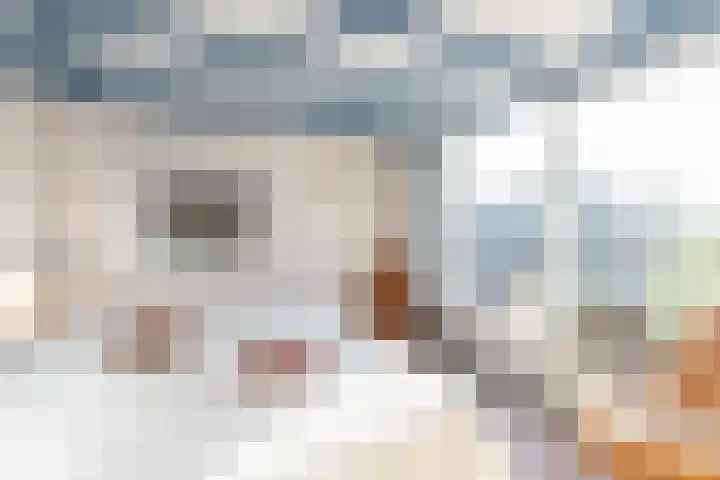 Sluis 55 Groot-Ammers thumbnail 14