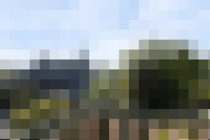 Sluis 55 Groot-Ammers thumbnail 19