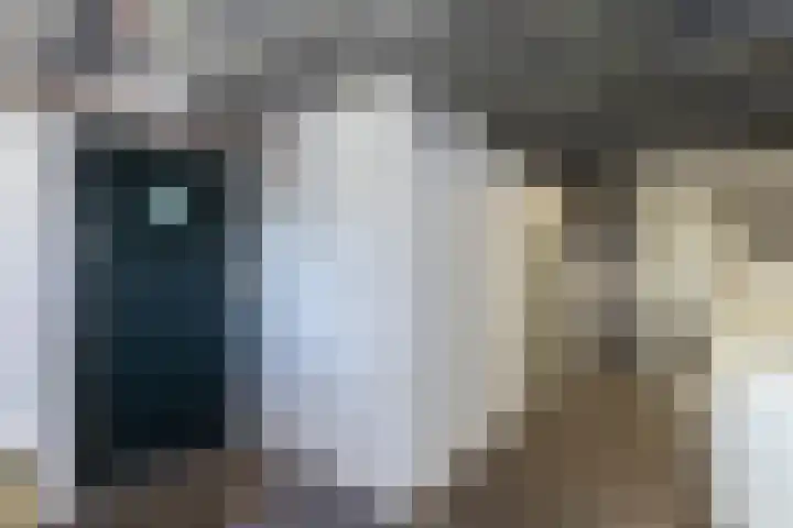 Sluis 55 Groot-Ammers thumbnail 24