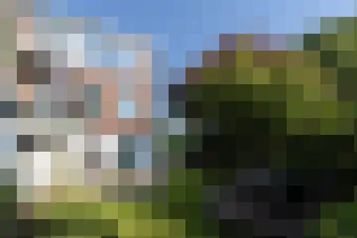 Sluis 55 Groot-Ammers thumbnail 26