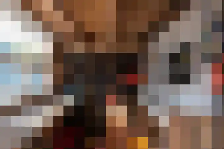 Sluis 55 Groot-Ammers thumbnail 28