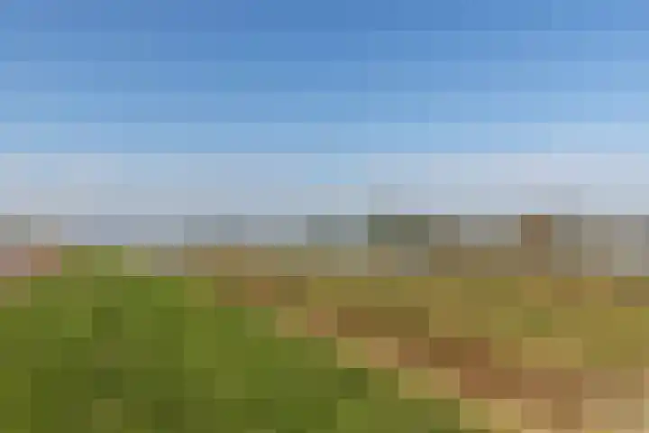 Sluis 55 Groot-Ammers thumbnail 31