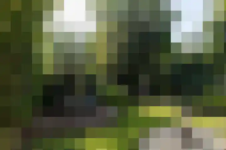 Sluis 55 Groot-Ammers thumbnail 4