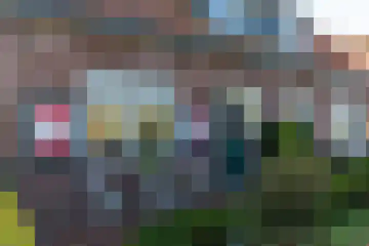 Sluis 55 Groot-Ammers thumbnail 6