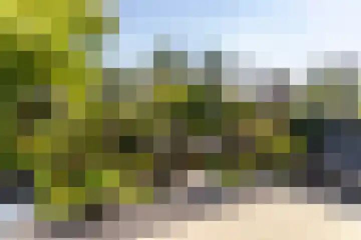 Sluis 57 Groot-Ammers thumbnail 18