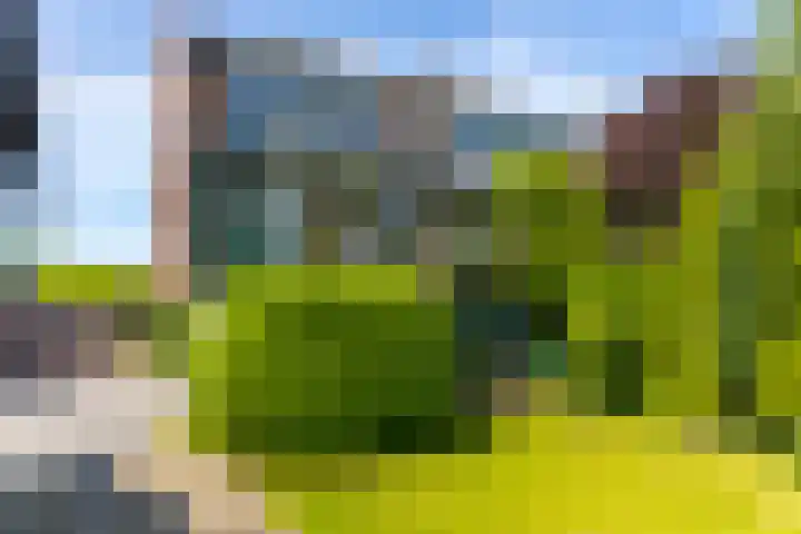 Sluis 57 Groot-Ammers thumbnail 34