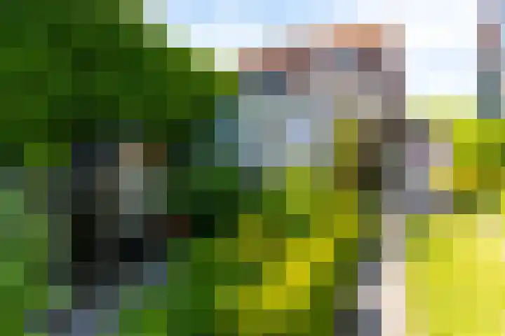 Sluis 57 Groot-Ammers thumbnail 35