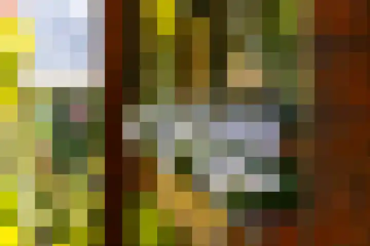 Sluis 57 Groot-Ammers thumbnail 37