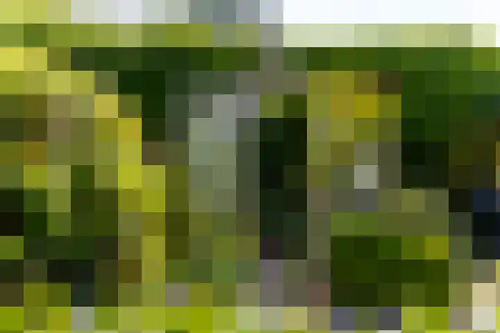 Sluis 57 Groot-Ammers thumbnail 38