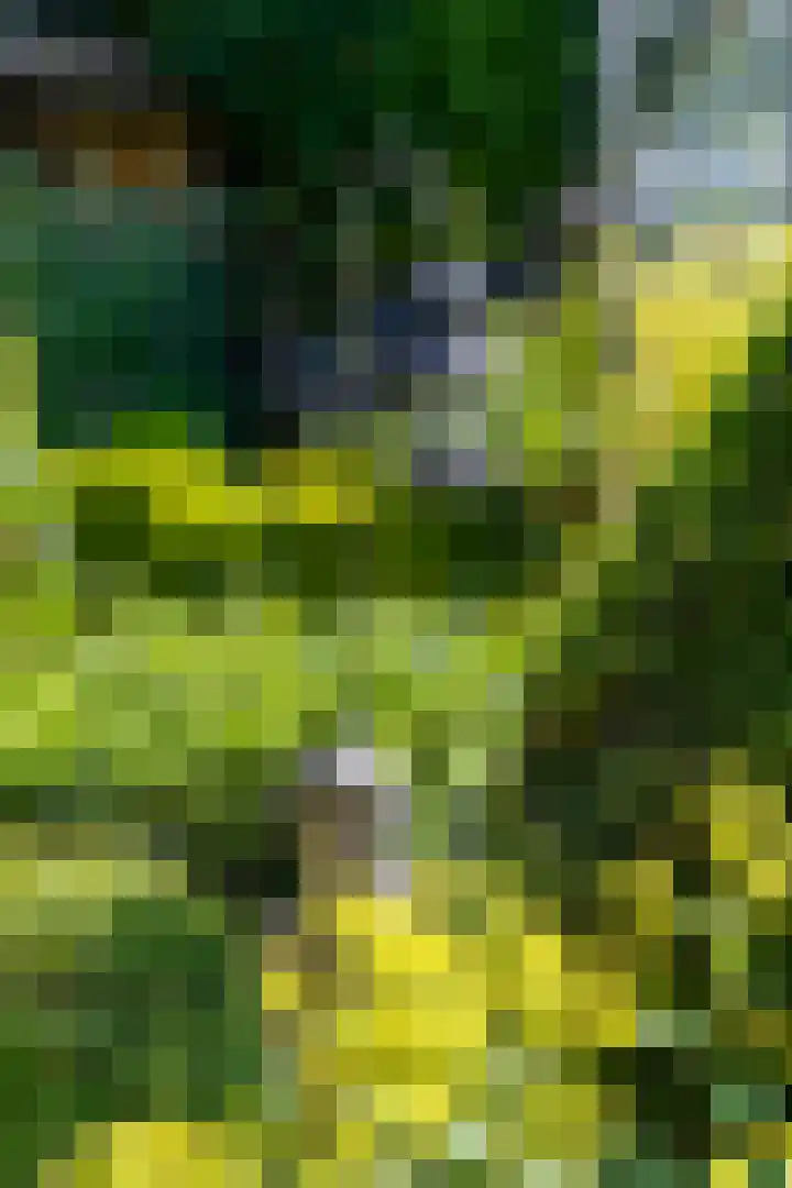 Sluis 57 Groot-Ammers thumbnail 39