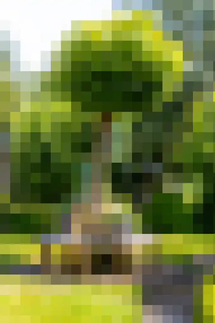 Sluis 57 Groot-Ammers thumbnail 40