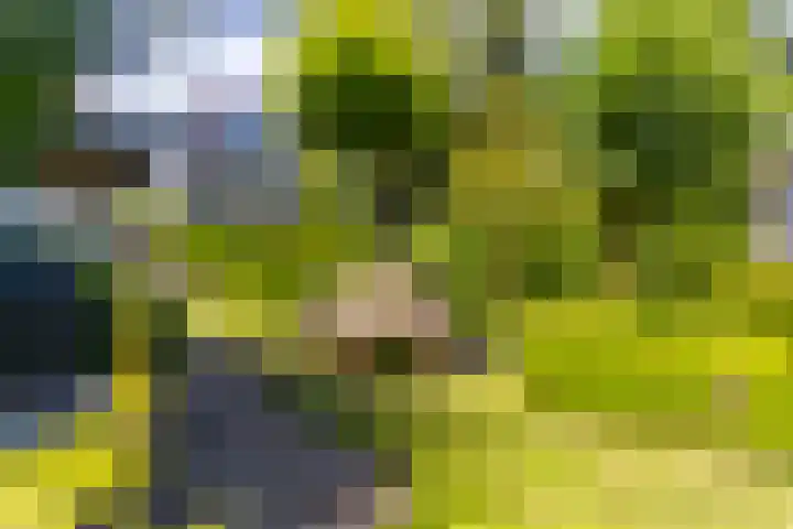 Sluis 57 Groot-Ammers thumbnail 42