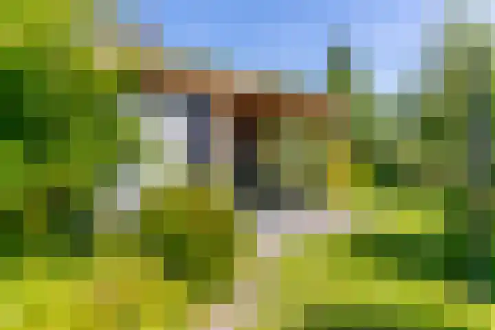Sluis 57 Groot-Ammers thumbnail 43