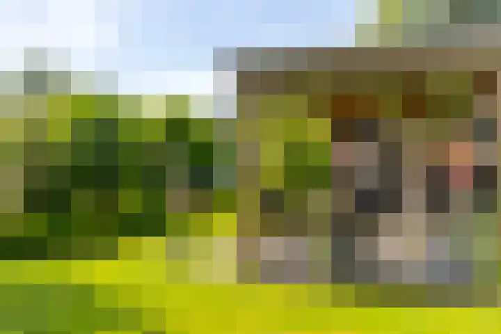 Sluis 57 Groot-Ammers thumbnail 45