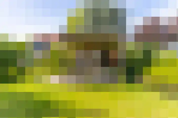 Sluis 57 Groot-Ammers thumbnail 48