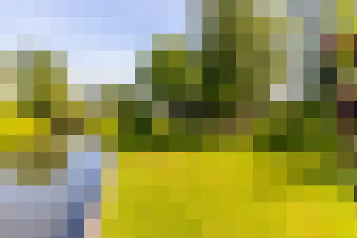 Sluis 57 Groot-Ammers thumbnail 49