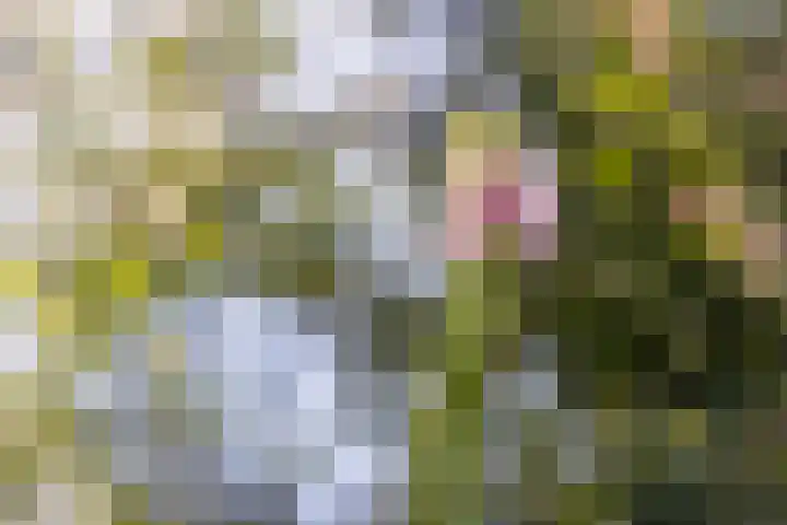 Sluis 57 Groot-Ammers thumbnail 51