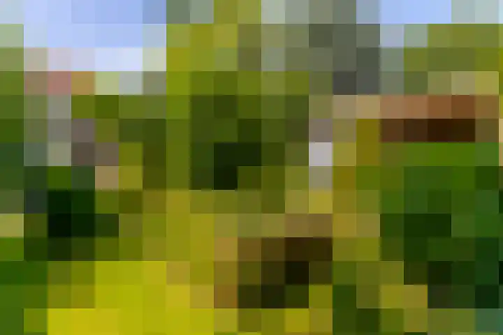 Sluis 57 Groot-Ammers thumbnail 53