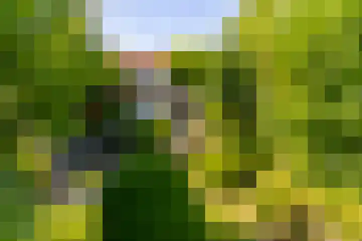 Sluis 57 Groot-Ammers thumbnail 54