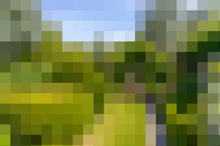 Sluis 57 Groot-Ammers thumbnail 55