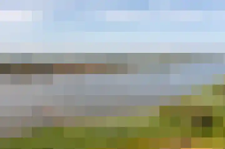 Sluis 57 Groot-Ammers thumbnail 64