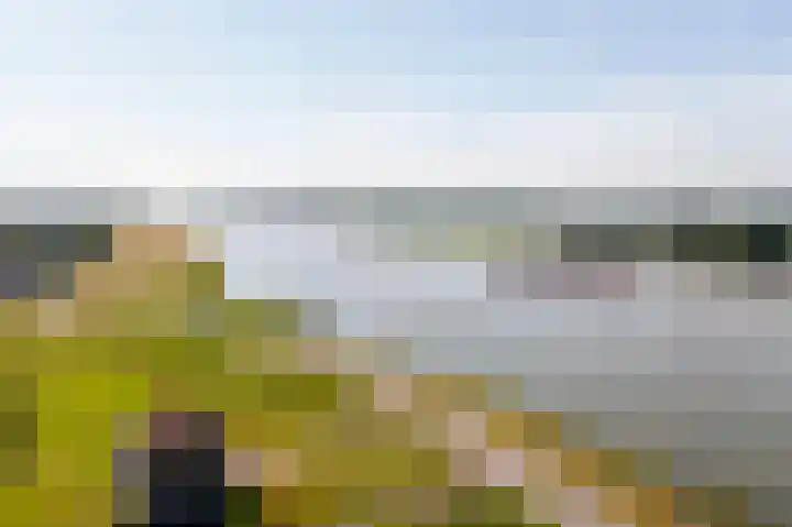 Sluis 57 Groot-Ammers thumbnail 65