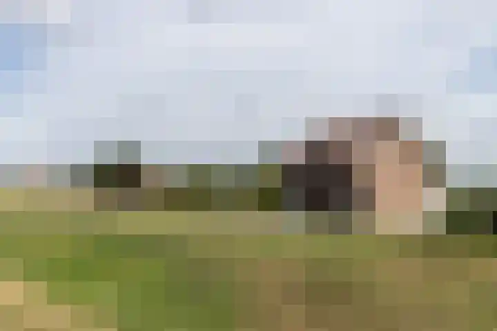 Sluis 63 Groot-Ammers