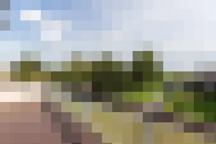 Sluis 63 Groot-Ammers thumbnail 12