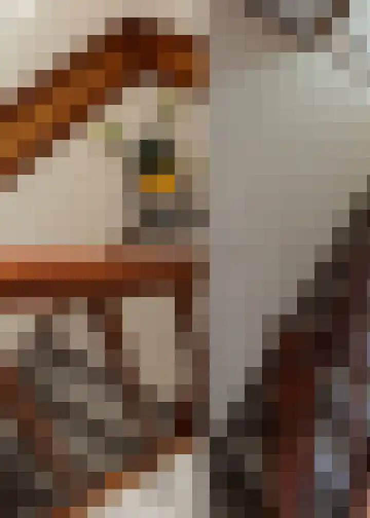 Sluis 63 Groot-Ammers thumbnail 15