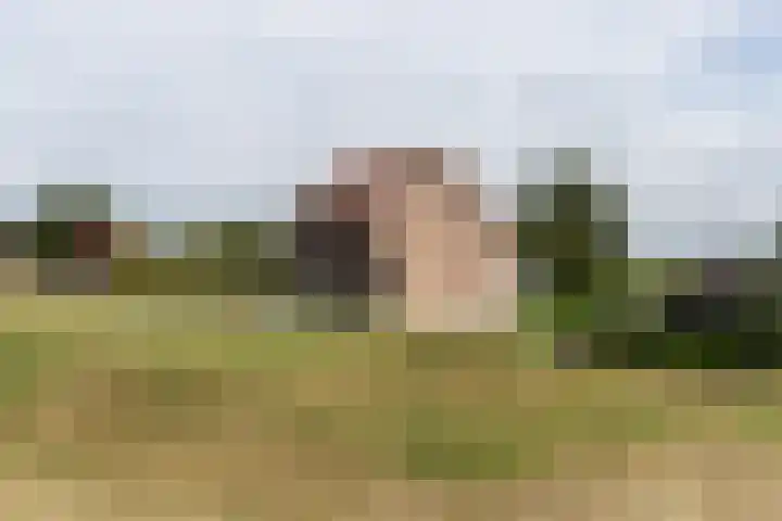 Sluis 63 Groot-Ammers thumbnail 22