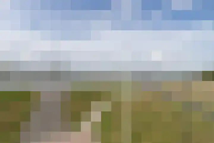 Sluis 63 Groot-Ammers thumbnail 4