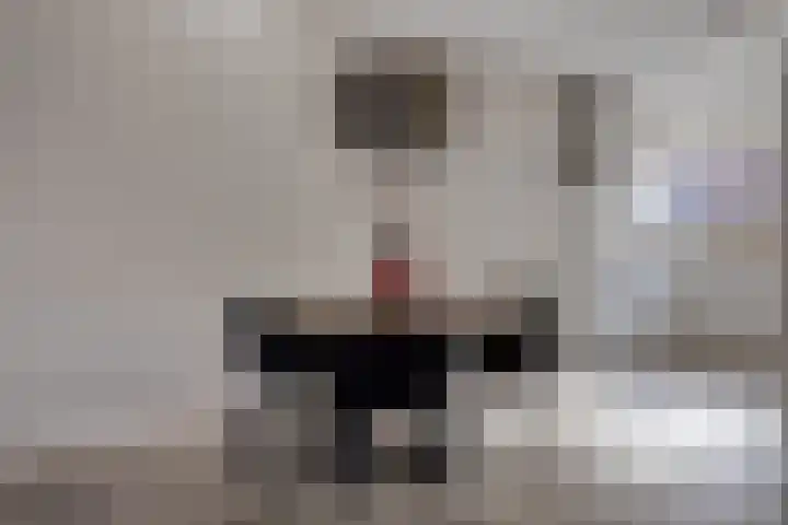 Sluis 7 Borne thumbnail 11