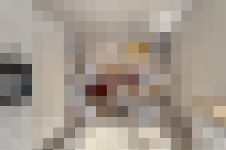 Sluis 7 Borne thumbnail 12