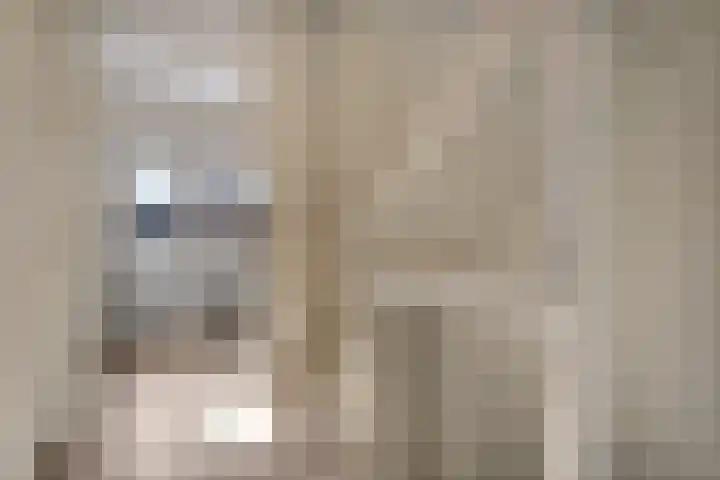 Sluis 7 Borne thumbnail 14