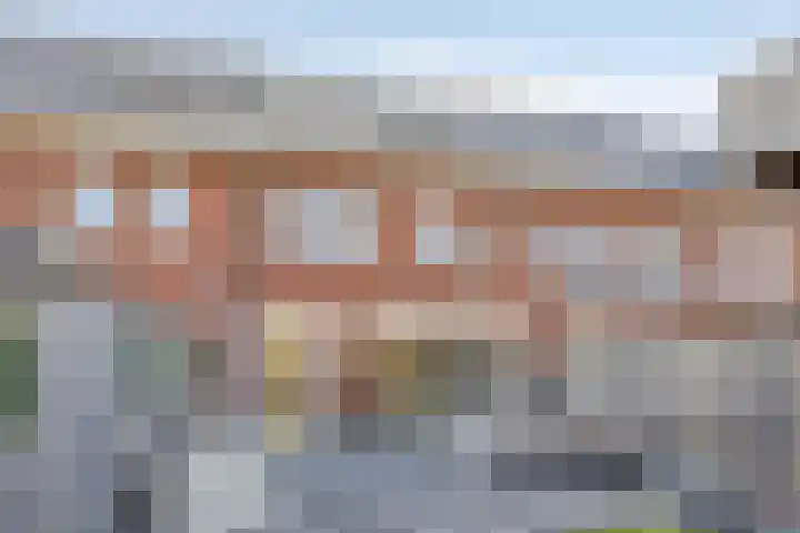 Sluis 7 Borne foto 2