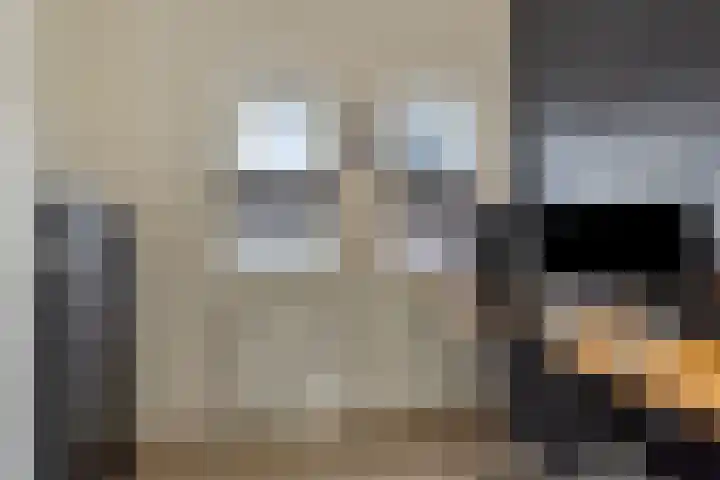 Sluis 7 Borne thumbnail 21