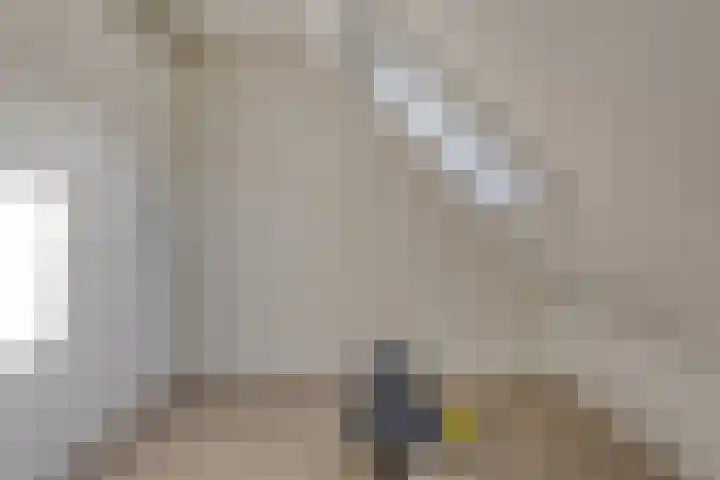 Sluis 7 Borne thumbnail 24