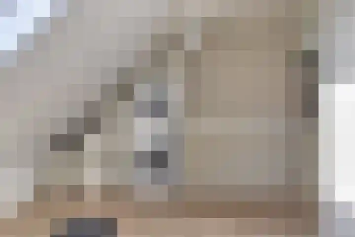 Sluis 7 Borne thumbnail 25