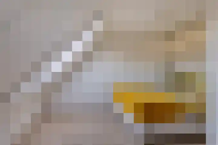 Sluis 7 Borne thumbnail 26