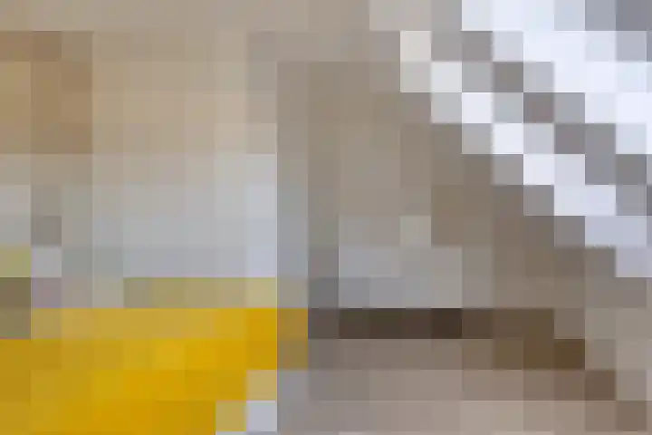 Sluis 7 Borne thumbnail 27