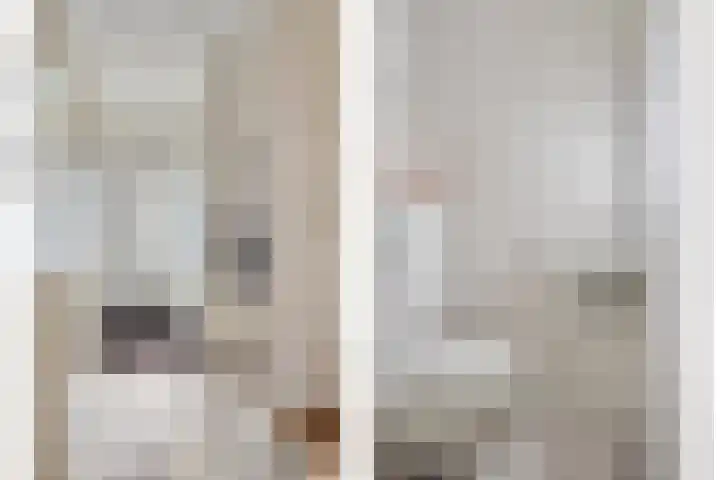 Sluis 7 Borne thumbnail 8