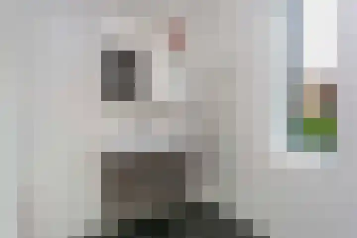 Sluishoofd 3 Wijk bij Duurstede thumbnail 19